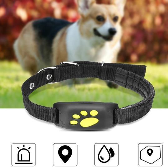 GPS Tracker Hond - HondenTracker - GPS