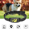 GPS Tracker Hond - HondenTracker - GPS