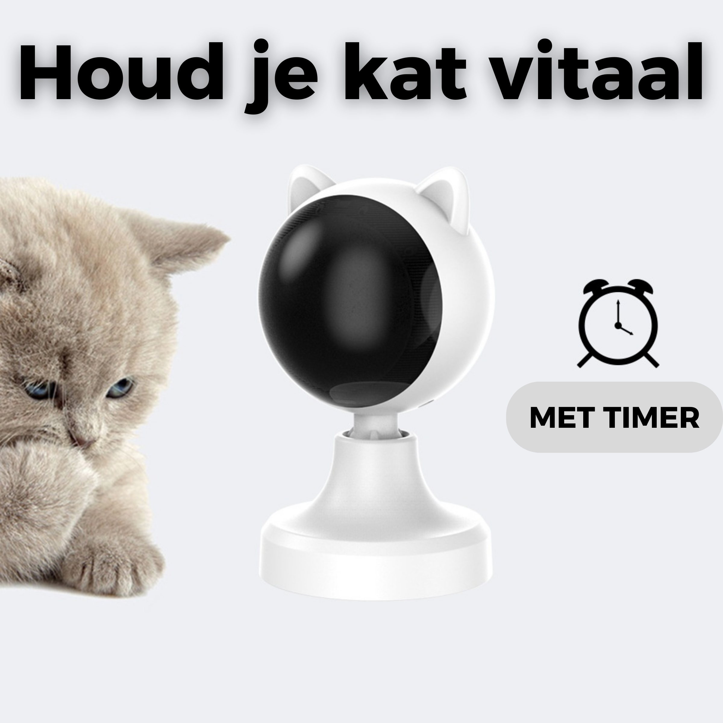 Laser voor katten - Kattenspeelgoed